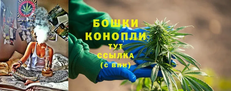 где найти   Бирюсинск  Бошки марихуана Bruce Banner 